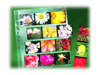 Photo Storage –  – 170025B