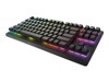 Tastaturer –  – AW420K-B-WW