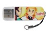 Flash Drives –  – 71263