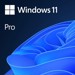 Windows Licenses &amp;amp; Media –  – ms-w11-pro64-eng