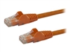 Câbles réseau spéciaux –  – N6PATC50CMOR