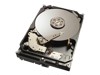 Interne Festplatten –  – SA600005I404