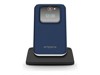 D-AMPS &amp;amp; Analoge Mobiltelefone –  – V228.LTE.V3.BB.01