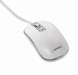 Mouse –  – MUS-4B-06-WS