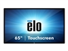 Touchscreen Large Format Displays –  – E215638