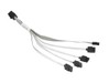 SAS kabels –  – CBL-SAST-0664