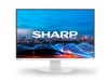 Arvutimonitorid –  – DDEA241WW
