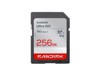 Flash-Karten –  – SDSDUGN-256G-GN6IN