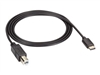 USB-Kabel –  – USBC2TYPEB-1M