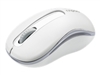 Mice –  – 17299