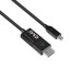 Video Card DisplayPort –  – CAC-1557