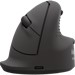 Mouse –  – 100143582