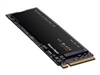 SSD, Solid State Drives –  – WDS100T3X0C