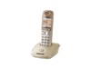 Téléphones sans fil –  – KX-TG2511PDJ