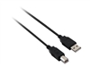 USB Káble –  – V7N2USB2AB-10F