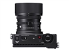 Mirrorless System Digital Cameras –  – 1A900