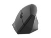 Souris –  – MWERGOVBTR