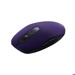 Mice –  – CNS-CMSW09V