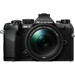 Mirrorless System Digital Cameras –  – V210072BU000