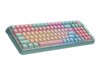Keyboards –  – MK-770-MCKW1-US