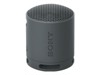 Home Speaker –  – SRSXB100B.CE7
