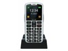 GSM Phones –  – SL260_EU002SB