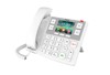 Téléphones filaires –  – X305