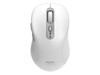 Mice –  – 900707CW