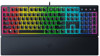 Keyboards –  – RZ03-04460800-R3R1