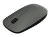 Mice –  – GP.MCE11.01K