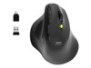 Mice –  – 910200