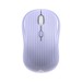 Mice –  – ICSB-WM602VL