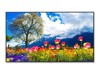 Digital Signage Displays –  – M981-AVT3