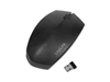 Souris –  – ID0191