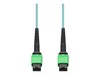 Crossover Cables –  – MFP7E10-N025-AO