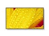LCD/LED velkoplošné displeje –  – 60006083