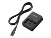 Camera Batteries –  – BC-QZ1