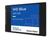 SSD, Solid State Drive –  – WDS250G2B0A