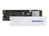 SSD, Solid State Drive –  – APSFG-2T-CSUS