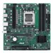 Motherboards (for AMD Processors) –  – 90MB1EC0-M0EAYC