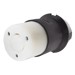Otros –  – HUB-HBL-2313