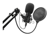 Mikrofonai																								 –  – SL-800010-BK