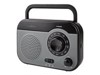 Portable Radios –  – RDFM1340GY
