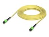 Verbindingskabels –  – UACC-OFC-SA-MPMP-10M