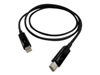 SAS Cables –  – CAB-TBT10M