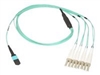 Cabluri încrucişiate																																																																																																																																																																																																																																																																																																																																																																																																																																																																																																																																																																																																																																																																																																																																																																																																																																																																																																																																																																																																																																					 –  – 470-ABPO