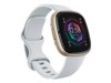 Smart Watch –  – FB521GLBM
