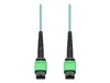 Crossover Cables –  – MFP7E10-N002-AO