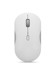 Mice –  – GY51S61907