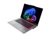 Intel-Notebooks –  – 21VV004LMZ